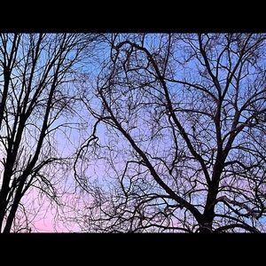 Meet your Posher, Michaela